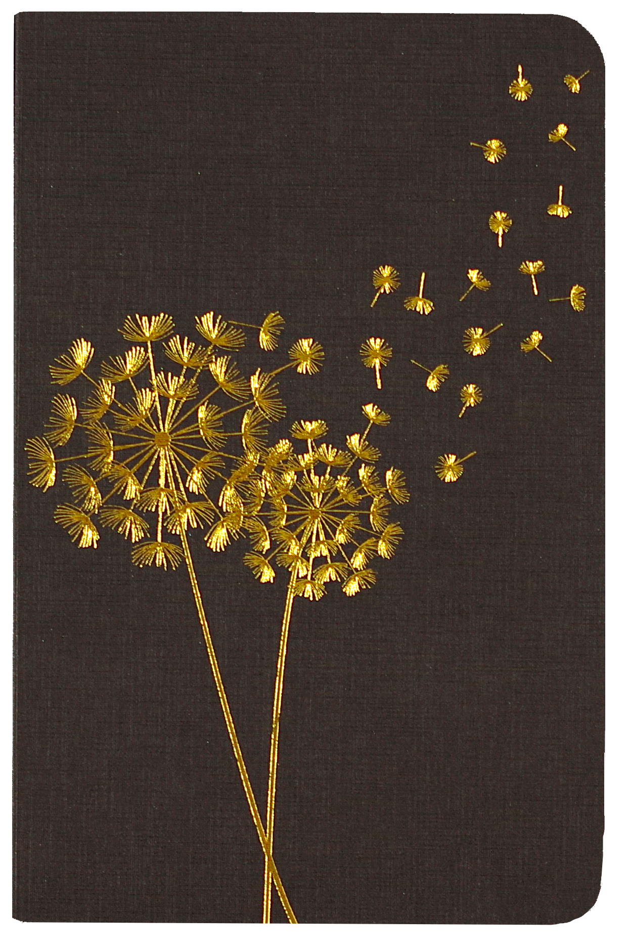 Jotter Mini Notebook Set: Dandelion Wishes,Jotter Mini Notebook Set: Dandelion Wishes