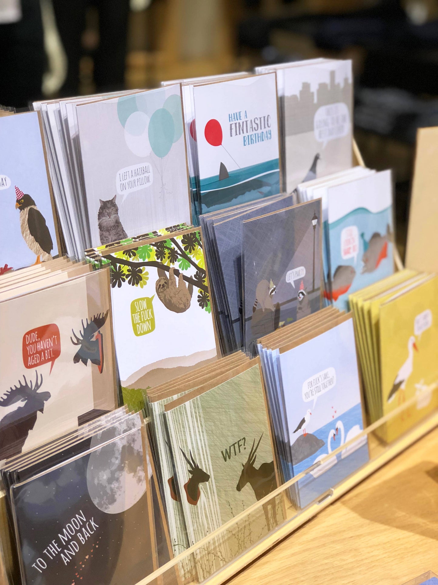 Pigeon Donut Birthday Card - The Mail and More Store
