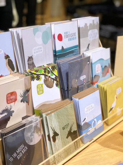 Pigeon Donut Birthday Card - The Mail and More Store