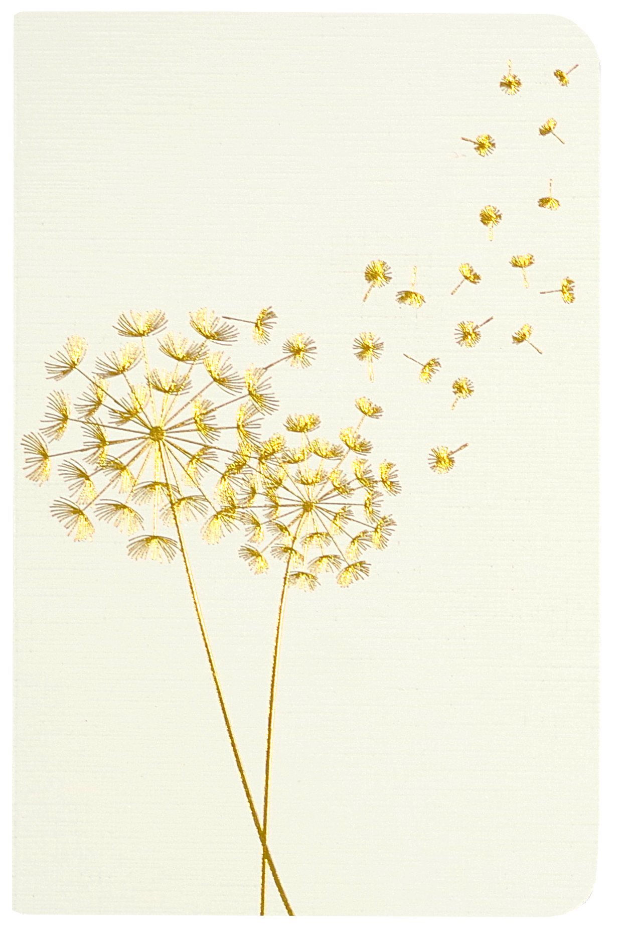 Jotter Mini Notebook Set: Dandelion Wishes,Jotter Mini Notebook Set: Dandelion Wishes
