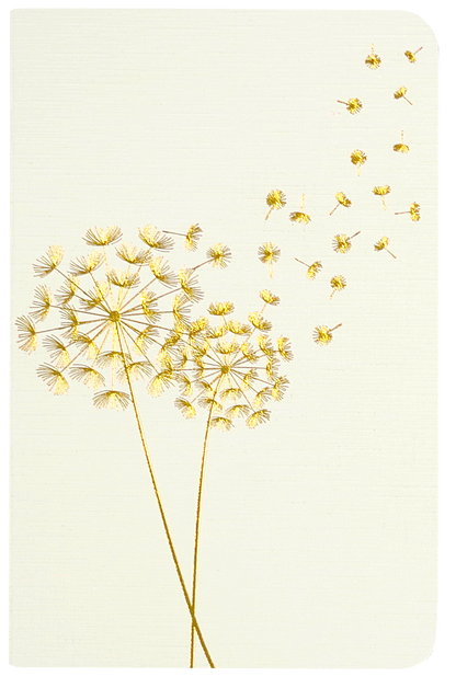 Jotter Mini Notebook Set: Dandelion Wishes,Jotter Mini Notebook Set: Dandelion Wishes