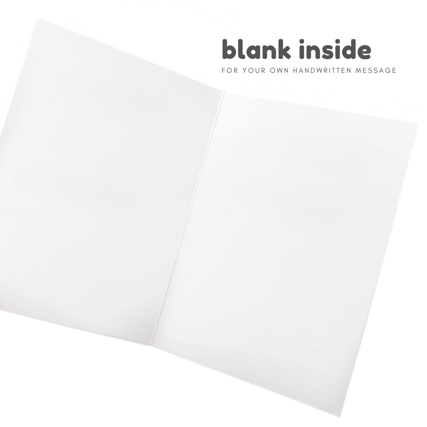 Clever Little Shit | Funny Congratulations Card - The Mail and More Store