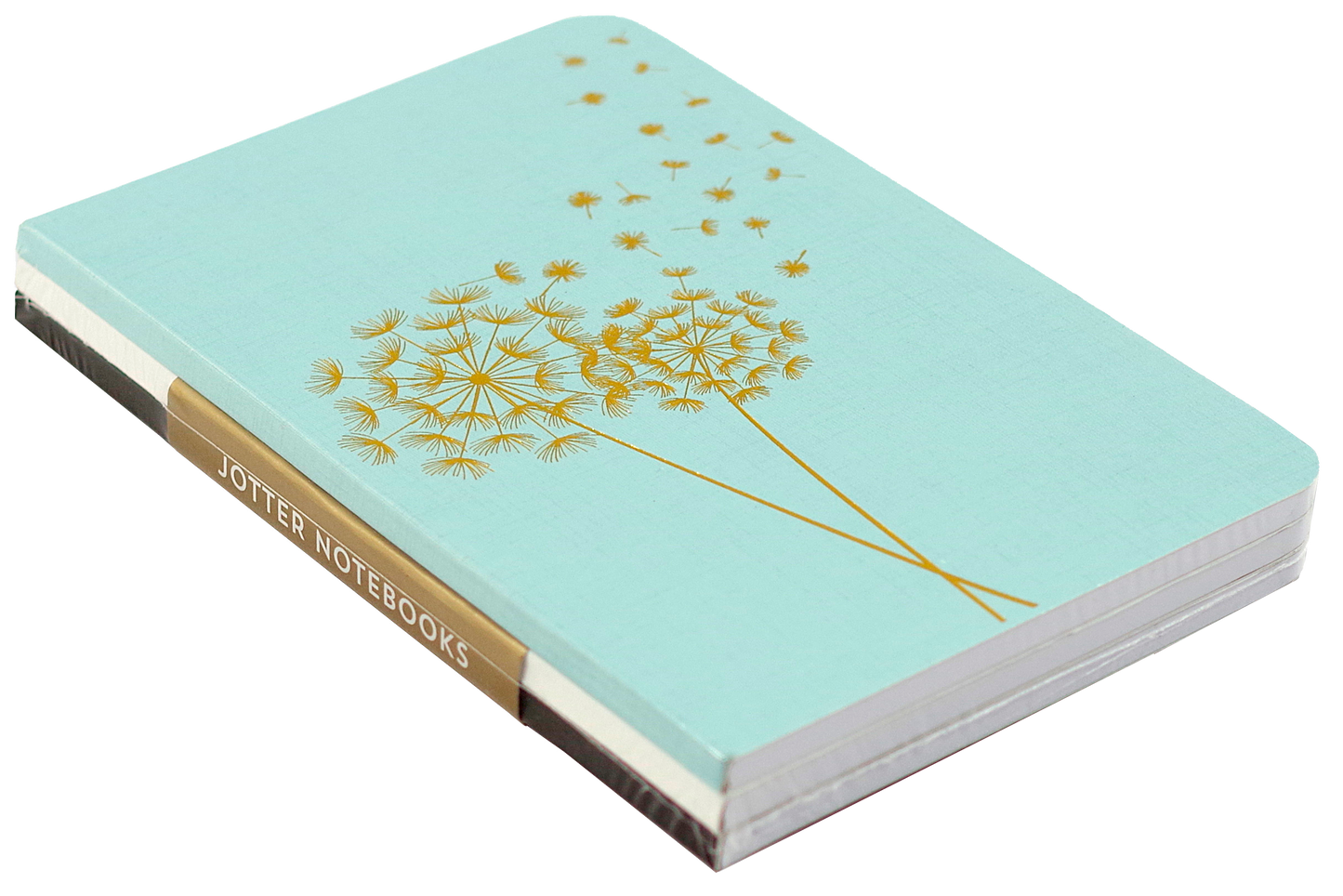 Jotter Mini Notebook Set: Dandelion Wishes,Jotter Mini Notebook Set: Dandelion Wishes