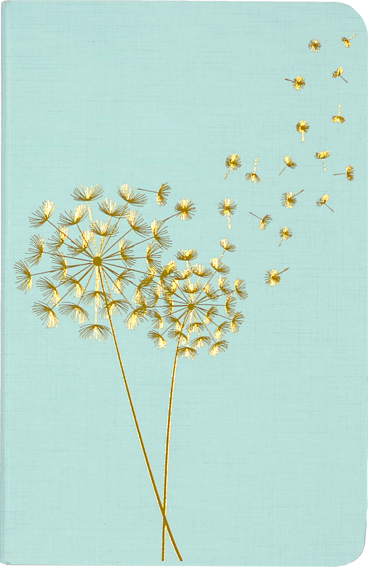 Jotter Mini Notebook Set: Dandelion Wishes,Jotter Mini Notebook Set: Dandelion Wishes