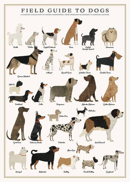 Dogs Puzzle – 500 Pc Tube with Vintage Illustrations