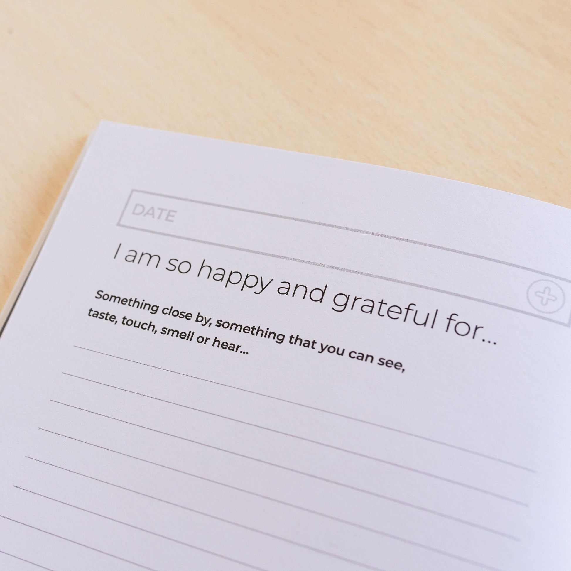 Gratitude Journal - Daily Grateful Journaling for Positivity - Find Fifteen - The Mail and More Store