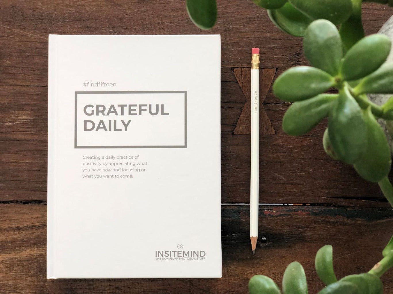Gratitude Journal - Daily Grateful Journaling for Positivity - Find Fifteen - The Mail and More Store