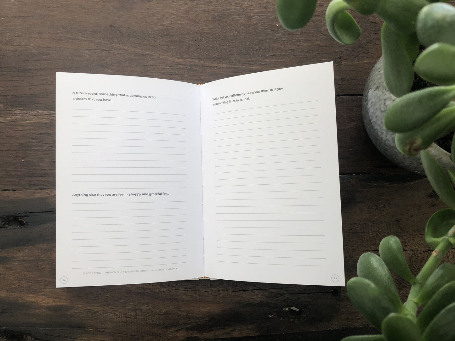 Gratitude Journal - Daily Grateful Journaling for Positivity - Find Fifteen - The Mail and More Store
