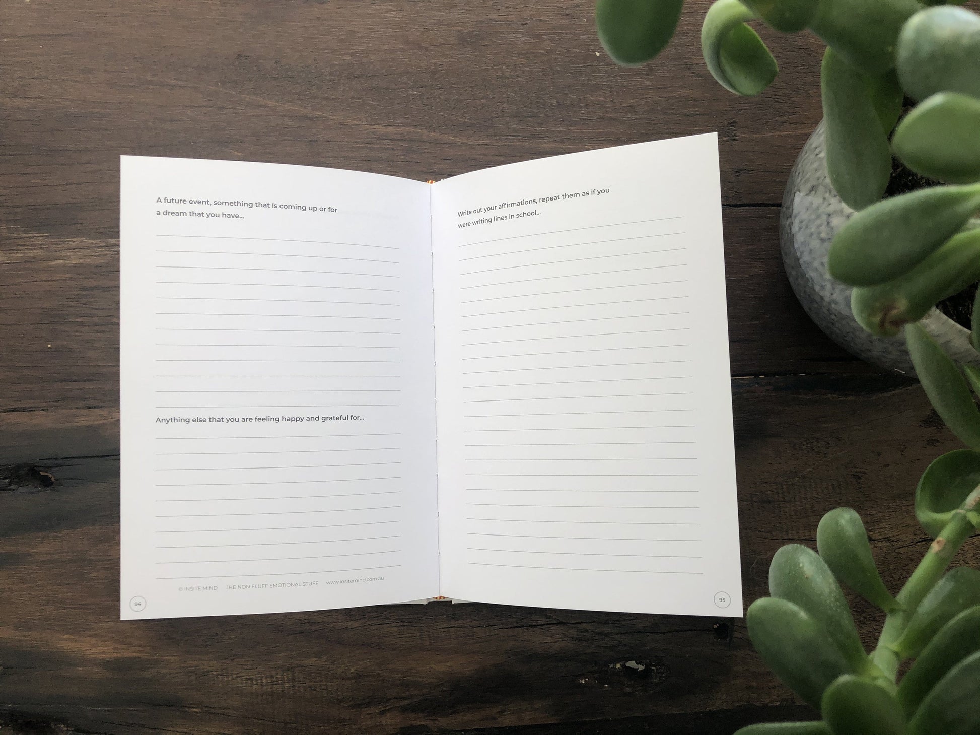 Gratitude Journal - Daily Grateful Journaling for Positivity - Find Fifteen - The Mail and More Store