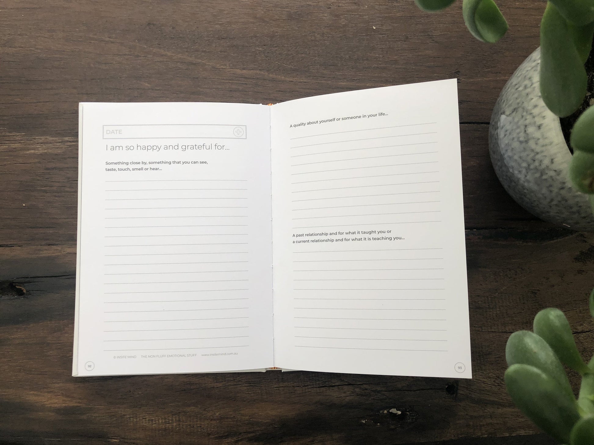 Gratitude Journal - Daily Grateful Journaling for Positivity - Find Fifteen - The Mail and More Store